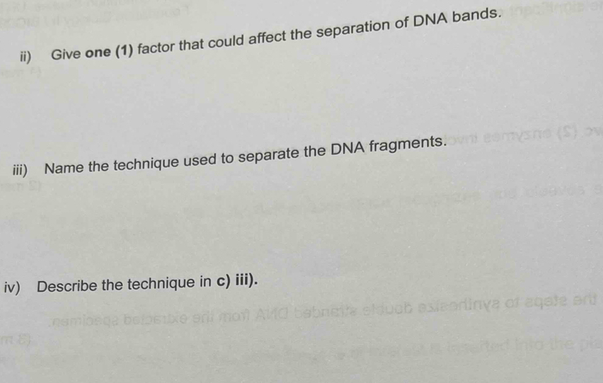 ii) Give one (1) factor that could affect the separation of DNA bands. 
iii) Name the technique used to separate the DNA fragments. 
iv) Describe the technique in c) iii).