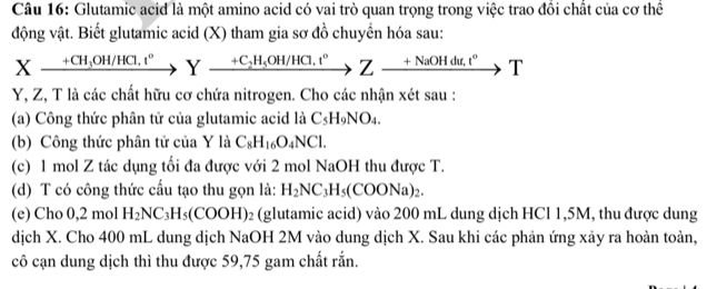 Glutamic acid là một amino acid có vai trò quan trọng trong việc trao đồi chất của cơ thể 
động vật. Biết glutamic acid (X) tham gia sơ đồ chuyển hóa sau:
Xxrightarrow +CH_3OH/HCl,t°Yxrightarrow +C_2H_5OH/HCl, t°Zxrightarrow +NaOHdu,t°T
Y, Z, T là các chất hữu cơ chứa nitrogen. Cho các nhận xét sau : 
(a) Công thức phân tử của glutamic acid là C_5H_9NO_4. 
(b) Công thức phân tử của Y là C_8H_16O_4NCl. 
(c) 1 mol Z tác dụng tối đa được với 2 mol NaOH thu được T. 
(d) T có công thức cấu tạo thu gọn là: H_2NC_3H_5(COONa)_2. 
(e) Cho 0.2 11 nol H_2NC_3H_5(COOH) 02 (glutamic acid) vào 200 mL dung dịch HCl 1,5M, thu được dung 
dịch X. Cho 400 mL dung dịch NaOH 2M vào dung dịch X. Sau khi các phản ứng xảy ra hoàn toàn, 
cô cạn dung dịch thì thu được 59,75 gam chất rắn.