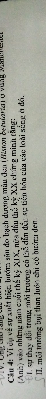 TV: Ông cho rang ( 
Câu 4: Ví dụ về sự xuất hiện bướm sâu đo bạch dương màu đen (Biston betularia) ở vung Manchester 
(Anh) vào những năm cuối thế kỷ XIX, nửa đầu thế kỷ XX chứng minh rằng: 
I. sự thay đổi trong môi trường có thể dẫn đến sự tiến hóa của các loài sống ở đó. 
II. môi trường bụi than luôn chỉ có bướm đen.