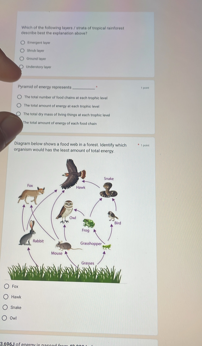 Which of the following layers / strata of tropical rainforest
describe best the explanation above?
Emergent layer
Shrub layer
Ground layer
Understory layer
Pyramid of energy represents_ * 1 point
The total number of food chains at each trophic level
The total amount of energy at each trophic level
The total dry mass of living things at each trophic level
The total amount of energy of each food chain
Diagram below shows a food web in a forest. Identify which 1 point
organism would has the least amount of total energy.
Hawk
Snake
Owl
3.696J of energy is pas