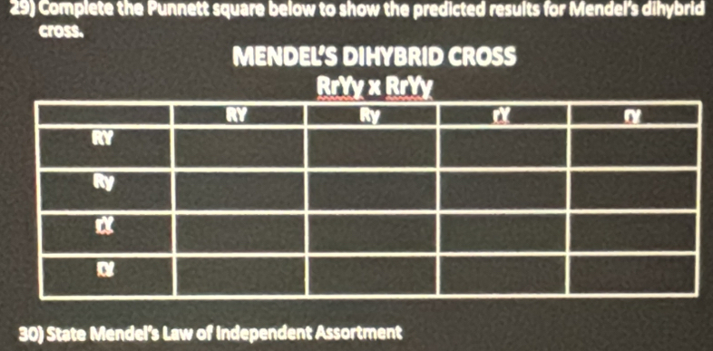 Complete the Punnett square below to show the predicted results for Mendel's dihybrid 
cross. 
MENDEL'S DIHYBRID CROSS 
30) State Mendel’s Law of Independent Assortment