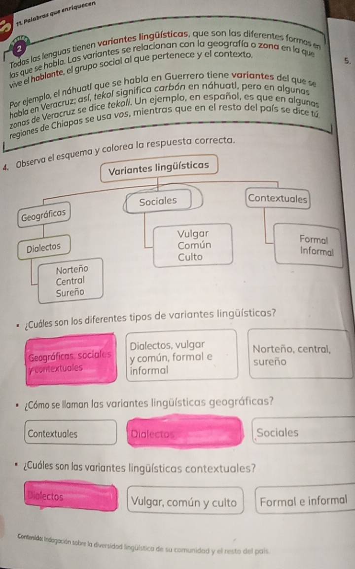 Palabras que enríquecen
2
Tedas las lenguas tienen variantes lingüísticas, que son las diferentes formas en
las que se habla. Las variantes se relacionan con la geografía o zona en la que
vive el hablante, el grupo social al que pertenece y el contexto.
5.
Por ejemplo, el náhuatl que se habla en Guerrero tiene variantes del que se
habla en Veracruz; así, tekol significa carbón en náhuatl, pero en algunas
zonas de Veracruz se dice tekolí. Un ejemplo, en español, es que en algunas
regiones de Chiapas se usa vos, mientras que en el resto del país se dice tú
4, Observa el esquema y colorea la respuesta correcta.
Variantes lingüísticas
Sociales
Contextuales
Geográficas
Vulgar
Dialectos
Común
Formal
Culto
Informal
Norteño
Central
Sureño
¿Cuáles son los diferentes tipos de variantes lingüísticas?
Geográficas, sociales Dialectos, vulgar Norteño, central,
y contextuales y común, formal e
sureño
informal
¿Cómo se llaman las variantes lingüísticas geográficas?
Contextuales Dialectos Sociales
¿Cuáles son las variantes lingüísticas contextuales?
Dialectos
Vulgar, común y culto Formal e informal
Contenida: lndagación sobre la diversidad lingüística de su comunidad y el resto del país.