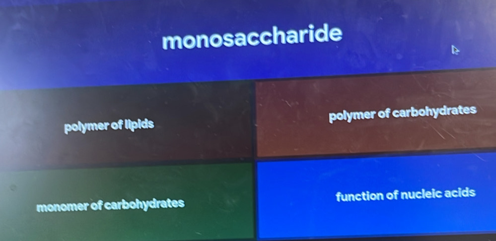 monosaccharide
polymer of lipids polymer of carbohydrates
monomer of carbohydrates function of nucleic acids