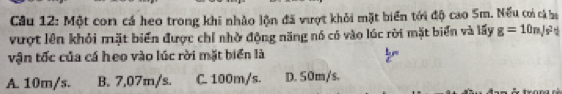 Cầu 12: Một con cá heo trong khi nhảo lộn đã vượt khỏi mặt biển tới độ cao Sm. Nếu coi cá ha
vượt lên khỏi mặt biến được chỉ nhờ động năng nó có vào lúc rời mặt biển và lấy g=10m/s^2
vận tốc của cá heo vào lúc rời mặt biển là
A. 10m/s. B. 7,07m/s. C. 100m/s. D. 50m/s.