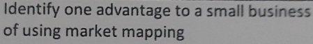 Identify one advantage to a small business 
of using market mapping