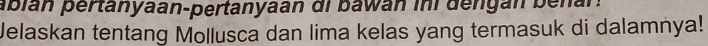 abián pertanyaan-pertanyaan di bawan ini dengan benan. 
Jelaskan tentang Mollusca dan lima kelas yang termasuk di dalamnya!