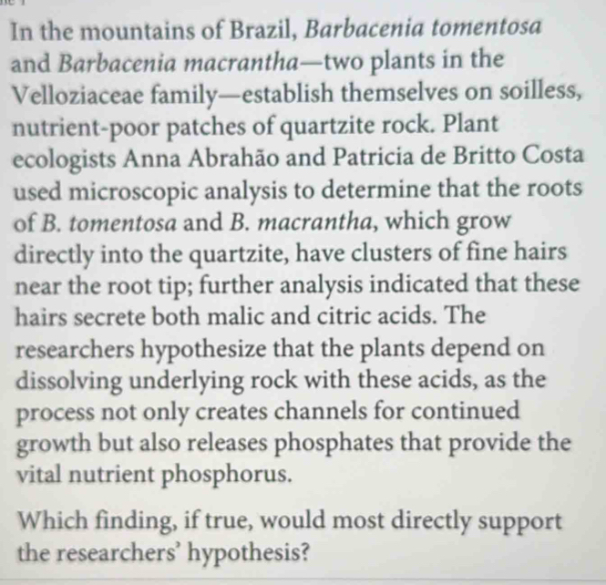 In the mountains of Brazil, Barbacenia tomentosa 
and Barbacenia macrantha—two plants in the 
Velloziaceae family—establish themselves on soilless, 
nutrient-poor patches of quartzite rock. Plant 
ecologists Anna Abrahão and Patricia de Britto Costa 
used microscopic analysis to determine that the roots 
of B. tomentosa and B. macrantha, which grow 
directly into the quartzite, have clusters of fine hairs 
near the root tip; further analysis indicated that these 
hairs secrete both malic and citric acids. The 
researchers hypothesize that the plants depend on 
dissolving underlying rock with these acids, as the 
process not only creates channels for continued 
growth but also releases phosphates that provide the 
vital nutrient phosphorus. 
Which finding, if true, would most directly support 
the researchers’ hypothesis?