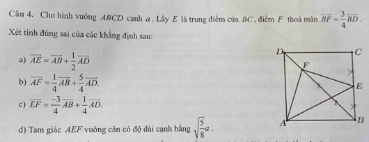 Cho hình vuông ABCD cạnh a. Lẩy E là trung điểm của BC , điểm F thoá mãn overline BF= 3/4 overline BD. 
Xét tính đúng sai của các khẳng định sau:
a) vector AE=vector AB+ 1/2 vector AD
b) overline AF= 1/4 overline AB+ 5/4 overline AD.
c) overline EF= (-3)/4 overline AB+ 1/4 overline AD.
d) Tam giác AEF vuông cân có độ dài cạnh bằng sqrt(frac 5)8a.