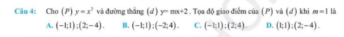 Cho (P) y=x^2 và đường thẳng (d ) y=mx+2. Tọa độ giao điểm của (P) và (d) khi m=1 là
A. (-1;1);(2;-4). B. (-1;1);(-2;4). C. (-1;1);(2;4). D. (1;1);(2;-4).