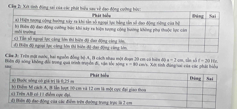 Xét tính đúng sai 
Câu 3: Trên mặt nước, hai nguồn đồng bộ A, B cách nhau một đoạn 20 cm có biên độ a=2cm , tần số f=20Hz. 
Biên độ sóng không đổi trong quá trình truyền đi, vận tốc sóng v=80cm/s s. Xét tính đúng/sai của các phát biểu 
sau: