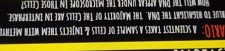 Johl nị Jjo5sogdiw thi ttánh 10i3j0 vnd thi vim môh 
*3SVHJY3LNI NI 3UV S773) 3H⊥ JO ALIYOí∀W 3H⊥ "VNG 3H⊥ LH9ITH9Iн O1 3∩78 
TAHL3W HLIM W3H⊥ SLD3íNI ?8 ST73D JO 37JWVS V S3XV1 LSIlN3IdS V :()I G