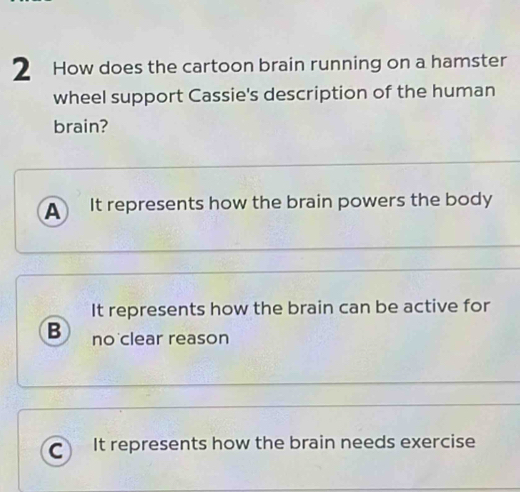 How does the cartoon brain running on a hamster
wheel support Cassie's description of the human
brain?
A It represents how the brain powers the body
It represents how the brain can be active for
B no clear reason
C It represents how the brain needs exercise