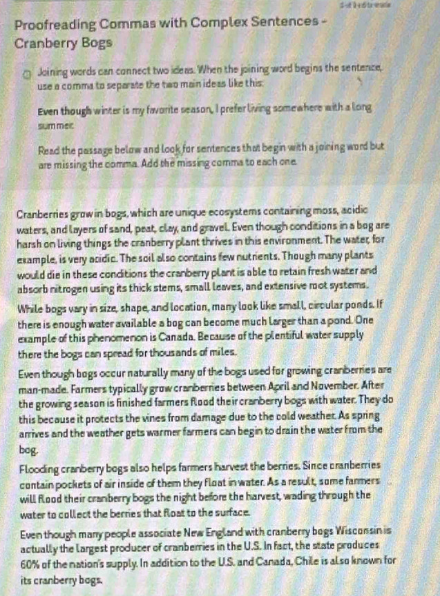 Proofreading Commas with Complex Sentences - 
Cranberry Bogs 
Joining words can connect two ideas. When the joining word begins the sentence, 
use a comma to separate the two main ideas like this. 
Even though winter is my favorite season, I prefer living some where with a long 
summec 
Read the passage below and look for sentences that begin with a joining word but 
are missing the comma. Add the missing comma to each one. 
Cranberries grow in bogs, which are unique ecosystems containing moss, acidic 
waters, and layers of sand, peat, clay, and gravel. Even though conditions in a bog are 
harsh on living things the cranberry plant thrives in this environment. The water, for 
example, is very acidic. The soil also contains few nutrients. Though many plants 
would die in these conditions the cranberry plant is able to retain fresh water and 
absorb nitrogen using its thick stems, small leaves, and extensive mot systems. 
While bogs vary in size, shape, and location, many look like small, circular ponds. If 
there is enough water available a bog can become much larger than a pond. One 
example of this phenomenon is Canada. Because of the plentiful water supply 
there the bogs can spread for thousands of miles. 
Even though bogs occur naturally many of the bogs used for growing cranberries are 
man-made. Farmers typically grow cranbernes between April and November. After 
the growing season is finished farmers flood their cranberry bogs with water. They do 
this because it protects the vines from damage due to the cold weather. As spring 
arrives and the weather gets warmer farmers can begin to drain the water from the 
bog. 
Flooding cranberry bogs also helps farmers harvest the berries. Since cranberries 
contain pockets of air inside of them they float in water. As a result, some farmers 
will flood their cramberry bogs the night before the harvest, wading through the 
water to collect the berries that float to the surface. 
Even though many people associate New England with cranberry bogs Wisconsin is 
actually the largest producer of cranberries in the U.S. In fact, the state produces
60% of the nation's supply. In addition to the U.S. and Canada, Chile is also known for 
its cranberry bogs.