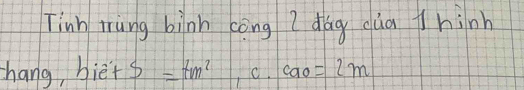 Tinh rung binn cong Z dǎg càa thinh 
hang, biè - S=tm^2 ,c.cao=2m