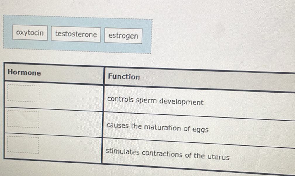 oxytocin testosterone estrogen