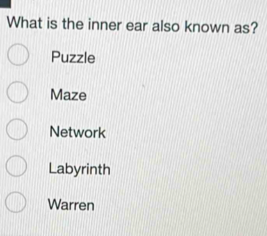 Solved: What is the inner ear also known as? Puzzle Maze Network ...