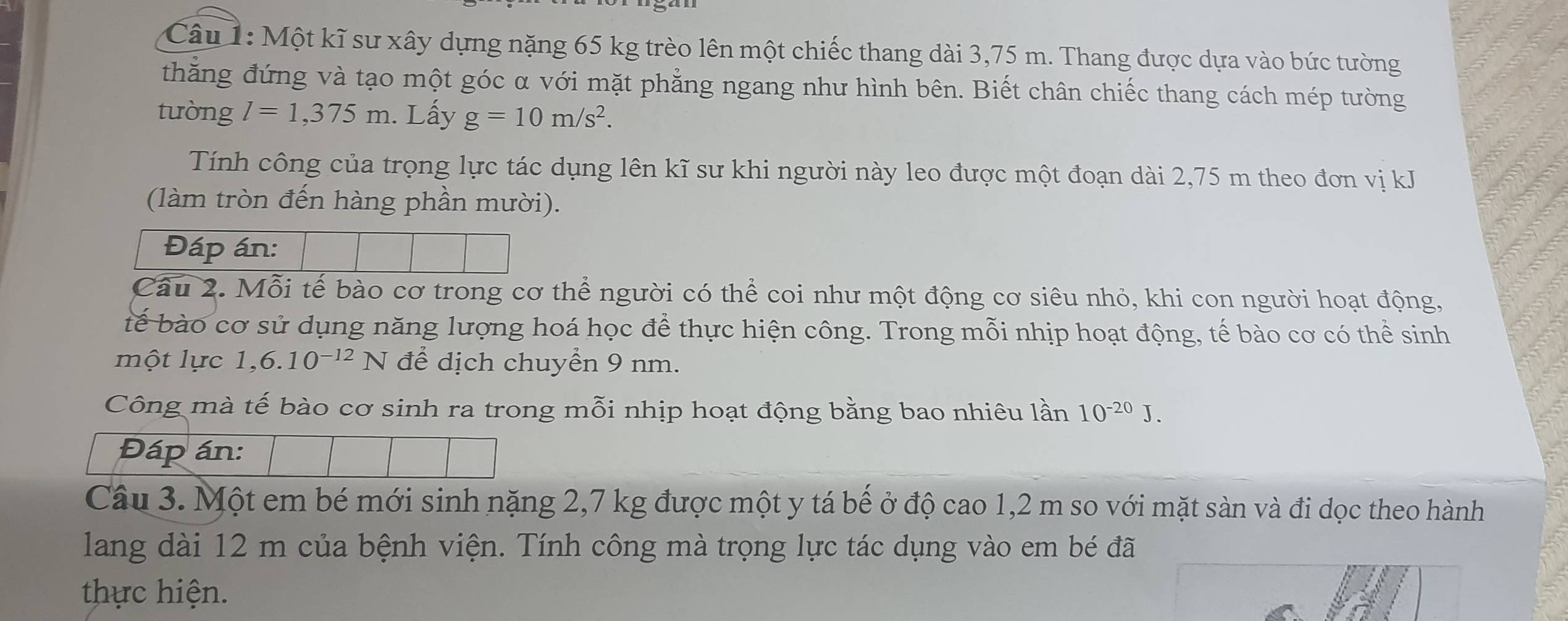 Một kĩ sư xây dựng nặng 65 kg trèo lên một chiếc thang dài 3,75 m. Thang được dựa vào bức tường 
thẳng đứng và tạo một góc α với mặt phẳng ngang như hình bên. Biết chân chiếc thang cách mép tường 
tường l=1,375m. Lấy g=10m/s^2. 
Tính công của trọng lực tác dụng lên kĩ sư khi người này leo được một đoạn dài 2,75 m theo đơn vị kJ
(làm tròn đến hàng phần mười). 
Đáp án: 
Câu 2. Mỗi tế bào cơ trong cơ thể người có thể coi như một động cơ siêu nhỏ, khi con người hoạt động, 
tế bào cơ sử dụng năng lượng hoá học để thực hiện công. Trong mỗi nhịp hoạt động, tế bào cơ có thể sinh 
một lực 1,6.10^(-12) N để dịch chuyển 9 nm. 
Công mà tế bào cơ sinh ra trong mỗi nhịp hoạt động bằng bao nhiêu lần 10^(-20)J. 
Câu 3. Một em bé mới sinh nặng 2,7 kg được một y tá bế ở độ cao 1,2 m so với mặt sàn và đi dọc theo hành 
lang dài 12 m của bệnh viện. Tính công mà trọng lực tác dụng vào em bé đã 
thực hiện.