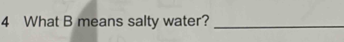 What B means salty water?_