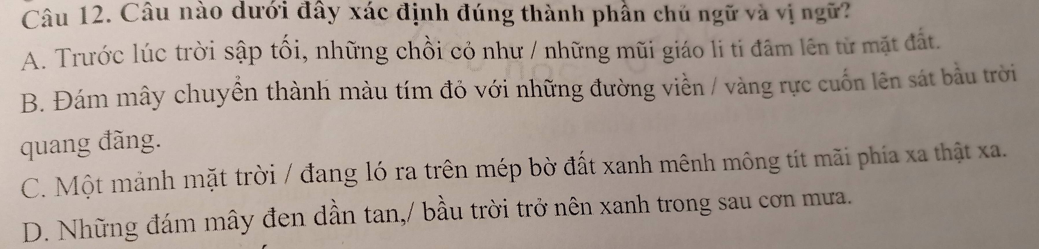 Câu nào dưới đây xác định đúng thành phần chủ ngữ và vị ngữ?
A. Trước lúc trời sập tối, những chồi có như / những mũi giáo li ti đâm lên từ mặt đất.
B. Đám mây chuyển thành màu tím đỏ với những đường viền / vàng rực cuốn lên sát bầu trời
quang đãng.
C. Một mảnh mặt trời / đang ló ra trên mép bờ đất xanh mênh mông tít mãi phía xa thật xa.
D. Những đám mây đen dần tan,/ bầu trời trở nên xanh trong sau cơn mưa.