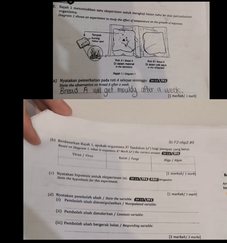 Rajah 1 menunjukkan satu eksperimen untuk mengkaji kesan suhu ke atas pertumbuhan 
organisma. 
Diagram 1 shows an experiment to study the effect of temperature on the groanism. 
Rajah 1 / Diagram 1 
a) Nyatakan pemerhatian pada roti A selepas seminggu. 5K 24 TP 3 
State the observation on bread A after a week. 
_ 
_ 
[1 markah/ 1 mark] 
Sc F2-chp2 #9 
(b) Berdasarkan Rajah 1, apakah organisma X? Tandaka 
Based on Diag 
B 
_ 
men ini. K 24 A KAT Minslisis Ar 
State the hypothesis for this experiment. 
In 
[1 markah/ 1 mark] 
(d) Nyatakan pemboleh ubah / State the variable. SK 24  TP 2 
_ 
(i) Pemboleh ubah dimanipulasikan / Manipulated variable: 
_ 
(ii) Pemboleh ubah dimalarkan / Constant vuriable: 
(iii) Pemboleh ubah bergerak balas / Responding variable: 
_ 
[3 markah/ 3 marks]
