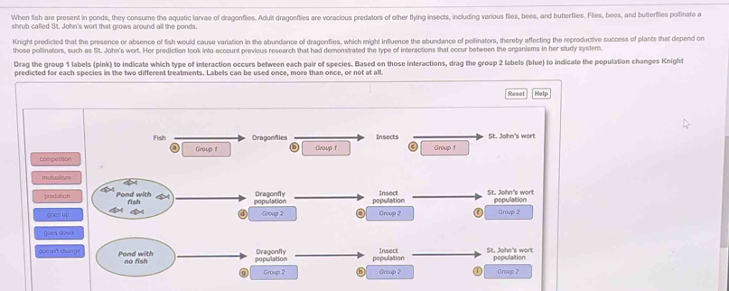 When fish are present in ponds, they consume the aquatic larvae of dragonflies. Aduit dragonflies are voracious predators of other flying insects, including various flies, bees, and butterflies. Flies, bees, and butterflies pollinate a 
shrub called St. John's wort that grows around all the ponds. 
Knight predicted that the presence or absence of fish would cause variation in the abundance of dragonflies, which might influence the abundance of polinators, thereby affecting the reproductive success of plants that depend on 
those pollinators, such as St. John's wort. Her prediction took into account previous research that had demonstrated the type of interactions that occur between the organisms in her study system. 
Drag the group 1 labels (pink) to indicate which type of interaction occurs between each pair of species. Based on those interactions, drag the group 2 labels (blue) to indicate the population changes Knight 
predicted for each species in the two different treatments. Labels can be used once, more than once, or not at all. 
Reset Help 
Fish Dragonflies Insects St. John's wort 
Group t Group f a Group 1
compettion 
mutuatism 
predation Pond with Dragonfly Insect St. John's wort population 
fish population population 
goes up Group 2 Group 2 Group 2 
goes down 
doe sn't clange Pond with population Dragonfly Insect St. John's wort 
no fish population population 
a Group 2 Group 2 Group 2