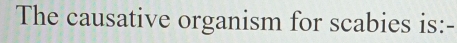 The causative organism for scabies is: