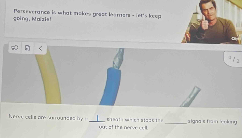 Perseverance is what makes great learners - let's keep 
going, Maizie! 
0 
2 
Nerve cells are surrounded by a _sheath which stops the _signals from leaking 
out of the nerve cell.