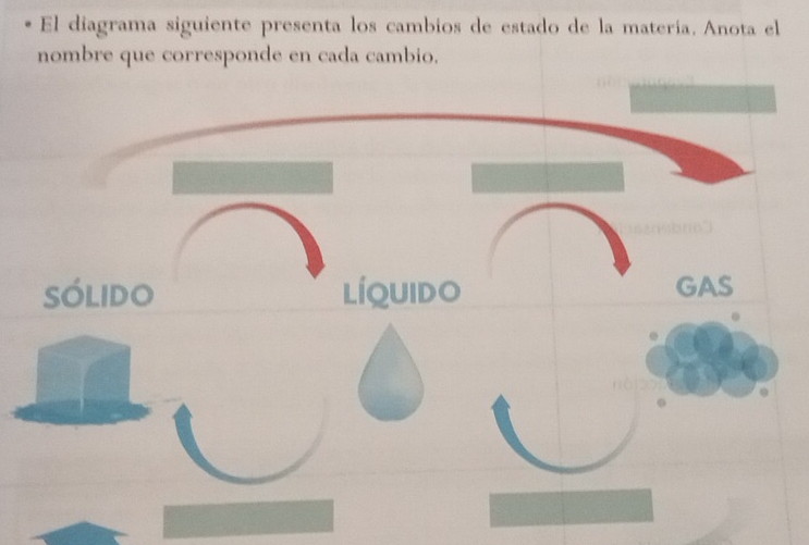 El diagrama siguiente presenta los cambios de estado de la matería. Anota el 
nombre que corresponde en cada cambio.