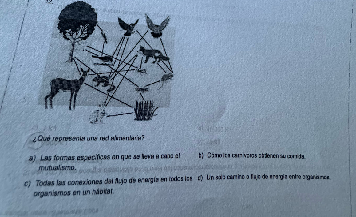 ¿Qué representa una red alimentaria?
a) Las formas específicas en que se lleva a cabo el b) Cómo los carnívoros obtienen su comida.
mutualismo.
c) Todas las conexiones del flujo de energía en todos loséd) Un solo camino o flujo de energía entre organismos.
organismos en un hábitat.