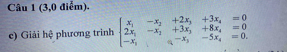 (3,0 điểm). 
c) Giải hệ phương trình beginarrayl x_1-x_2+2x_3+3x_4=0 2x_1-x_2+3x_3+8x_4=0 -x_1x_3-x_3=endarray.