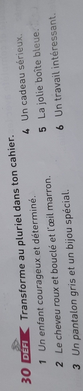 défi Transforme au pluriel dans ton cahier. 
1 Un enfant courageux et déterminé. 4 Un cadeau sérieux. 
2 Le cheveu roux et bouclé et l'œil marron. 5 La jolie boîte bleue. 
3 Un pantalon gris et un bijou spécial. 6 Un travail intéressant.