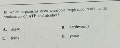 In which organisms does anaerobic respiration result in the
production of ATP and alcohol?
A. algae B. earthworms
C. ferns D. yeasts