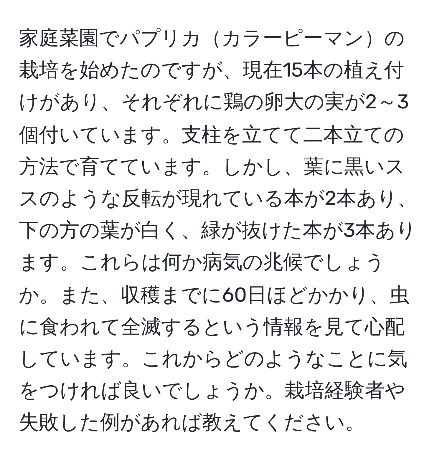 家庭菜園でパプリカカラーピーマンの栽培を始めたのですが、現在15本の植え付けがあり、それぞれに鶏の卵大の実が2～3個付いています。支柱を立てて二本立ての方法で育てています。しかし、葉に黒いススのような反転が現れている本が2本あり、下の方の葉が白く、緑が抜けた本が3本あります。これらは何か病気の兆候でしょうか。また、収穫までに60日ほどかかり、虫に食われて全滅するという情報を見て心配しています。これからどのようなことに気をつければ良いでしょうか。栽培経験者や失敗した例があれば教えてください。