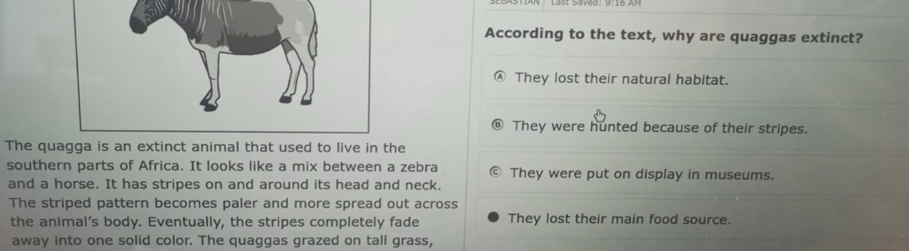 According to the text, why are quaggas extinct?
Ⓐ They lost their natural habitat.
They were hunted because of their stripes.
The quagga is an extinct animal that used to live in the
southern parts of Africa. It looks like a mix between a zebra They were put on display in museums.
and a horse. It has stripes on and around its head and neck.
The striped pattern becomes paler and more spread out across
the animal’s body. Eventually, the stripes completely fade They lost their main food source.
away into one solid color. The quaggas grazed on tall grass,