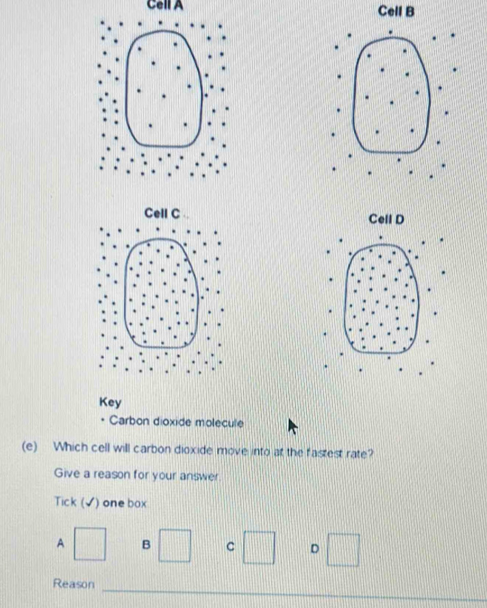 Cell A Cell B 
Cell C Cell D 
Key 
Carbon dioxide molecule 
(e) Which cell will carbon dioxide move into at the fastest rate? 
Give a reason for your answer 
Tick (√) one box 
A 
B C D 
_ 
Reason