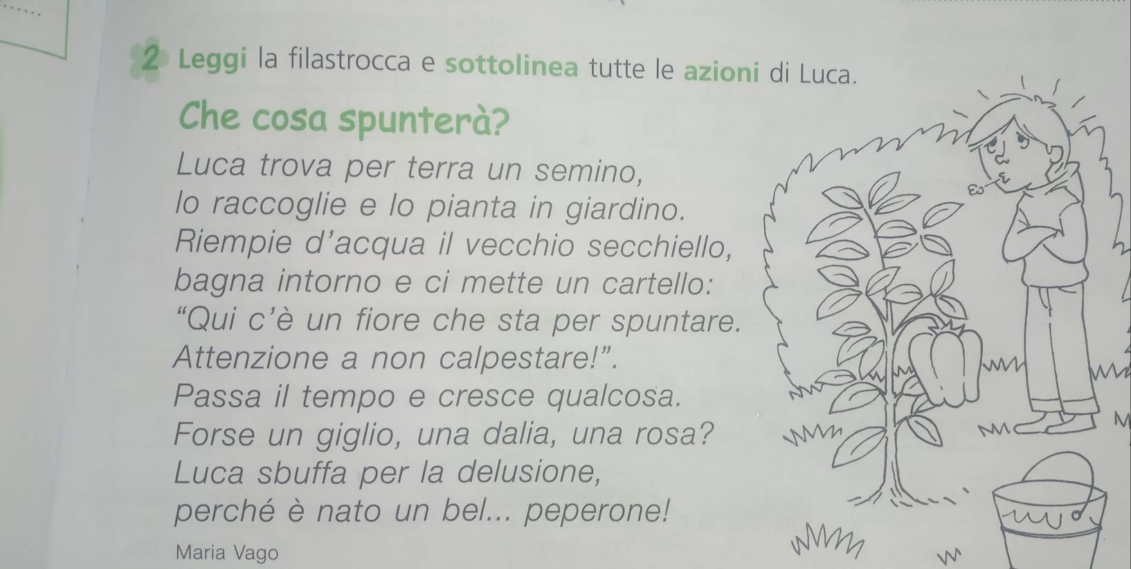 Leggi la filastrocca e sottolinea tutte le azioni di Luca. 
Che cosa spunterà? 
Luca trova per terra un semino, 
lo raccoglie e lo pianta in giardino. 
Riempie d’acqua il vecchio secchiello, 
bagna intorno e ci mette un cartello: 
“Qui c’è un fiore che sta per spuntare. 
Attenzione a non calpestare!”. 
M 
Passa il tempo e cresce qualcosa. 
Forse un giglio, una dalia, una rosa? 
M 
Luca sbuffa per la delusione, 
perché è nato un bel... peperone! 
Maria Vago