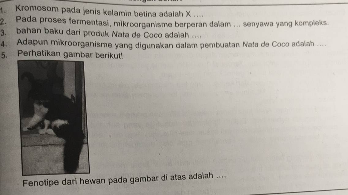 Kromosom pada jenis kelamin betina adalah X.... 
2. Pada proses fermentasi, mikroorganisme berperan dalam ... senyawa yang kompleks. 
3. bahan baku dari produk Nata de Coco adalah … 
4. Adapun mikroorganisme yang digunakan dalam pembuatan Nata de Coco adalah .... 
5. Perhatikan gambar berikut! 
Fenotipe dari hewan pada gambar di atas adalah ....