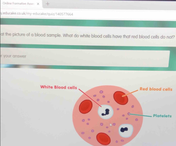 Online Formative Asse 
y.educake.co.uk/my-educake/quiz/140577664 
at the picture of a blood sample. What do white blood cells have that red blood cells do not? 
r your answer