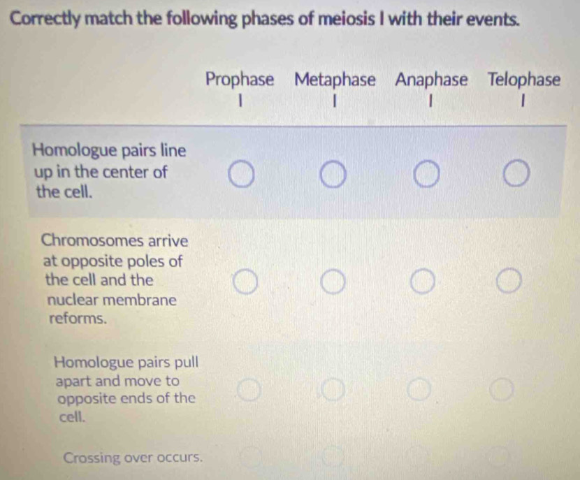 Solved: Correctly match the following phases of meiosis I with their ...