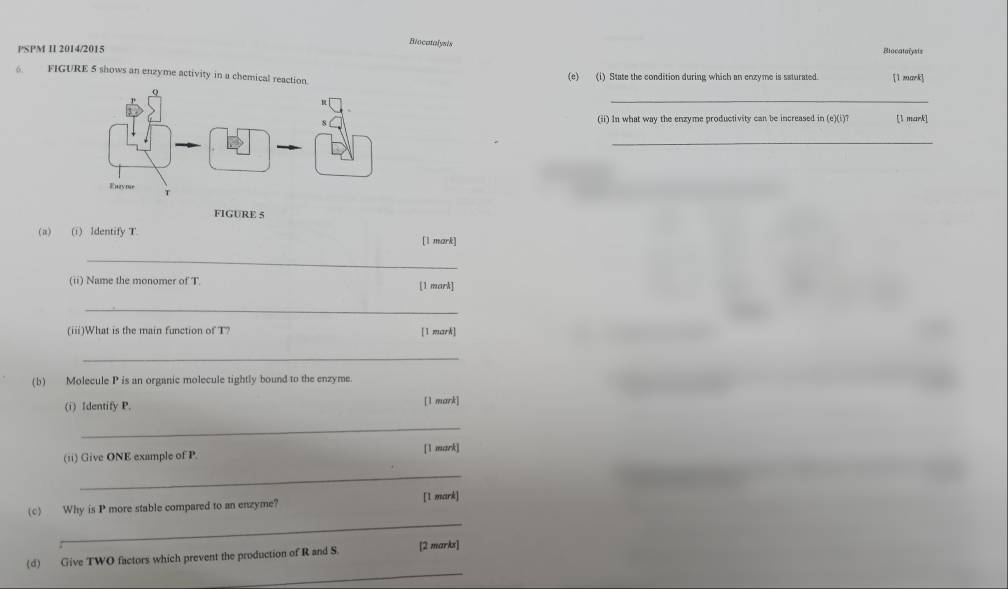 Biocatalysis 
PSPM II 2014/2015 Biocataïysts 
6 FIGURE 5 shows an enzyme activity in a chemical reaction. (e) (i) State the condition during which an enzyme is saturated. [1 mark] 
_ 
(ii) In what way the enzyme productivity can be increased in (e)(i)? [1 mark] 
_ 
FIGURE 5 
(a) (i) ldentify T [1 mark] 
_ 
(ii) Name the monomer of T [1 mark] 
_ 
(iii)What is the main function of T? [1 mark] 
_ 
(b) Molecule P is an organic molecule tightly bound to the enzyme 
(i) Identify P. [1 mark] 
_ 
(ii) Give ONE example of P [1 mark] 
_ 
[1 mark] 
_ 
(c) Why is P more stable compared to an enzyme? 
_ 
(d) Give TWO factors which prevent the production of R and S [2 markx]