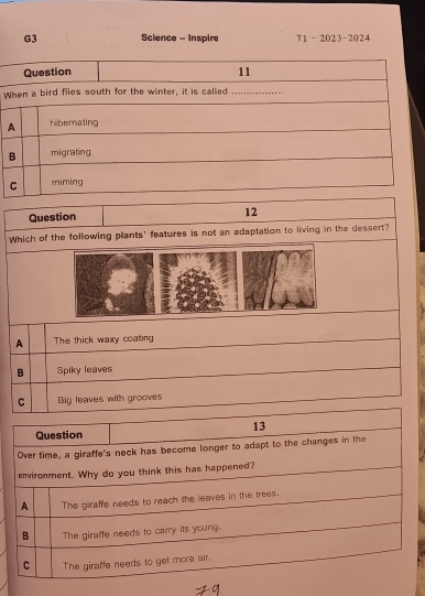 G3 Science - Inspire T1 -2023-2024
W
Question 12
Which of the following plants' features is not an adaptation to living in the dessert?
A The thick waxy coating
B Spiky leaves
C Big leaves with grooves