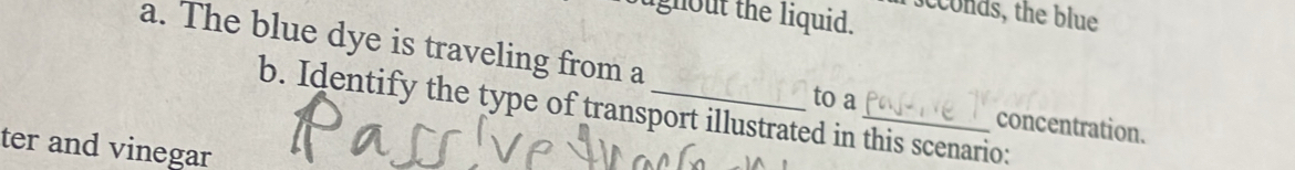 lghout the liquid. c nds, the blue 
a. The blue dye is traveling from a 
b. Identify the type of transport illustrated in this scenario: 
to a concentration. 
ter and vinegar