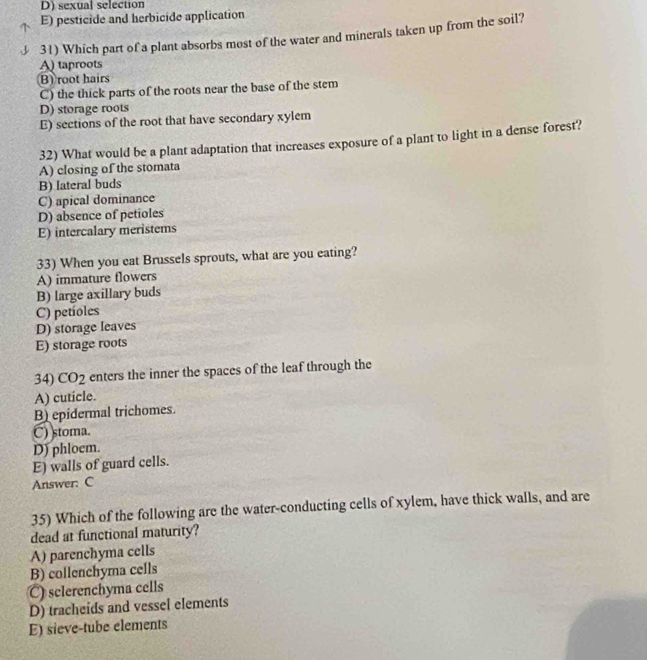 D) sexual selection
E) pesticide and herbicide application
31) Which part of a plant absorbs most of the water and minerals taken up from the soil?
A) taproots
B) root hairs
C) the thick parts of the roots near the base of the stem
D) storage roots
E) sections of the root that have secondary xylem
32) What would be a plant adaptation that increases exposure of a plant to light in a dense forest?
A) closing of the stomata
B) Iateral buds
C) apical dominance
D) absence of petioles
E) intercalary meristems
33) When you eat Brussels sprouts, what are you eating?
A) immature flowers
B) large axillary buds
C) petíoles
D) storage leaves
E) storage roots
34) CO2 enters the inner the spaces of the leaf through the
A) cuticle.
B) epidermal trichomes.
C) stoma.
D) phloem.
E) walls of guard cells.
Answer: C
35) Which of the following are the water-conducting cells of xylem, have thick walls, and are
dead at functional maturity?
A) parenchyma cells
B) collenchyma cells
C) sclerenchyma cells
D) tracheids and vessel elements
E) sieve-tube elements