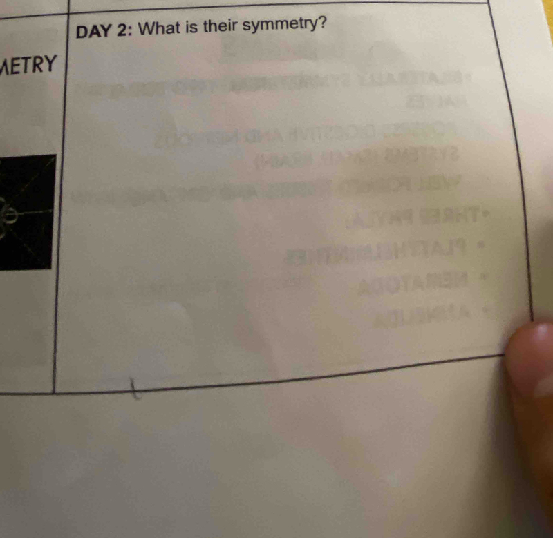 DAY 2: What is their symmetry? 
METRY