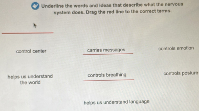 Underline the words and ideas that describe what the nervous
system does. Drag the red line to the correct terms.
control center carries messages controls emotion
helps us understand controls breathing controls posture
the world
helps us understand language