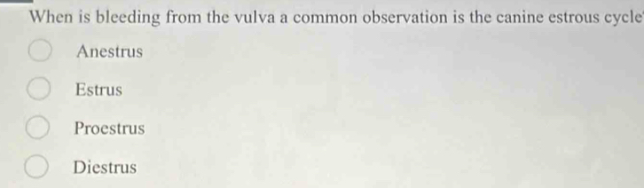 When is bleeding from the vulva a common observation is the canine estrous cycle
Anestrus
Estrus
Proestrus
Diestrus