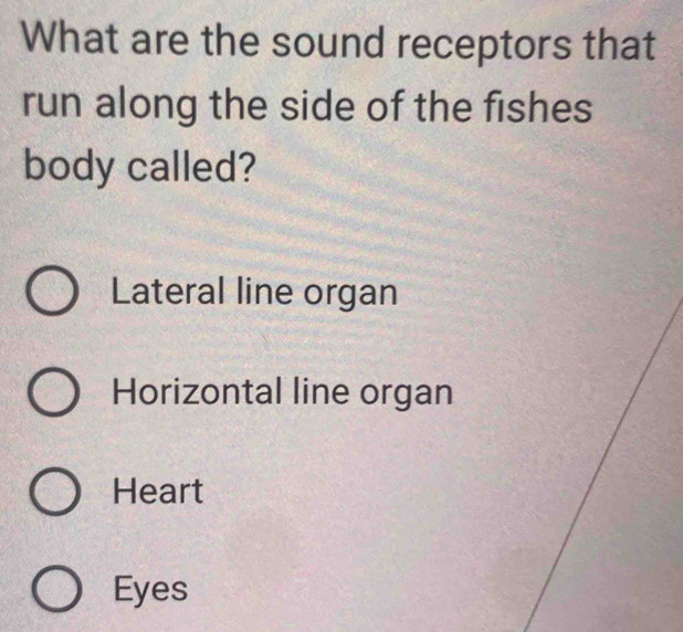 What are the sound receptors that
run along the side of the fishes
body called?
Lateral line organ
Horizontal line organ
Heart
Eyes