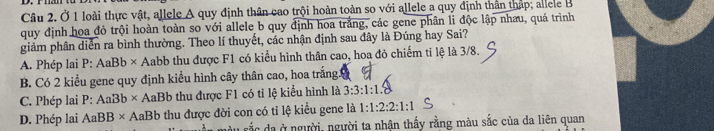 Ở 1 loài thực vật, allele A quy định thân cao trội hoàn toàn so với allele a quy định thần thập; allele B
quy định hoa đỏ trội hoàn toàn so với allele b quy định hoa trắng, các gene phân li độc lập nhau, quá trình
giảm phân diễn ra bình thường. Theo lí thuyết, các nhận định sau đây là Đúng hay Sai?
A. Phép lai P: AaBb* A Labb thu được F1 có kiểu hình thân cao, hoa đỏ chiếm tỉ lệ là 3/8.
B. Có 2 kiểu gene quy định kiểu hình cây thân cao, hoa trắng.8
C. Phép lai P:AaBb* AaBb thu được F1 có tỉ lệ kiểu hình là 3:3:1:1.
D. Phép lai AaBB* AaBb thu được đời con có tỉ lệ kiểu gene là 1:1:2:2:1:1
cắc da ở người, người ta nhận thấy rằng màu sắc của da liên quan