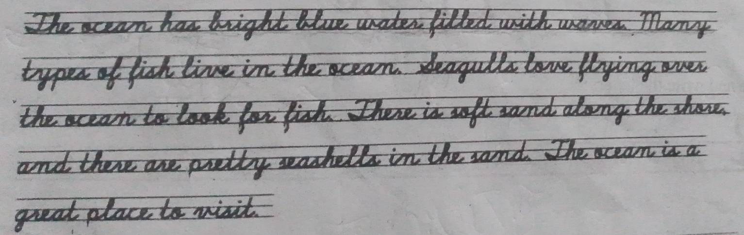 The ocean has bright blue uwnater filled with warea Many 
types of fich live in the cean. deagulls love llying over 
the occan to look for fish. There is soft sand along the showe. 
and there are pretty wachells in the sand. The ocean is a 
great place to misit