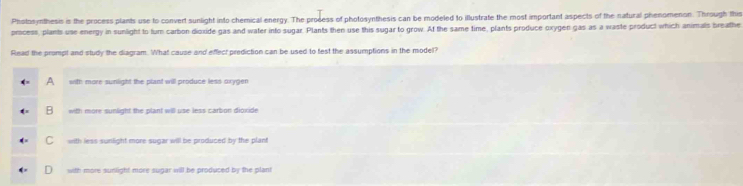 Photosynthesis is the process plants use to convert sunlight into chemical energy. The prodess of photosynthesis can be modeled to illustrate the most important aspects of the natural phenomenon. Through this
process, plants use energy in sunlight to turn carbon dioxide gas and water into sugar. Plants then use this sugar to grow. At the same time, plants produce oxygen gas as a waste product which animals breathe
Read the prompt and study the diagram. What cause and effect prediction can be used to test the assumptions in the model?
A with more sunlight the plant will produce less oxygen
B with more sunlight the plant will use less carbon dioxide
C with less sunlight more sugar will be produced by the plant
with more sunlight more sugar will be produced by the plant